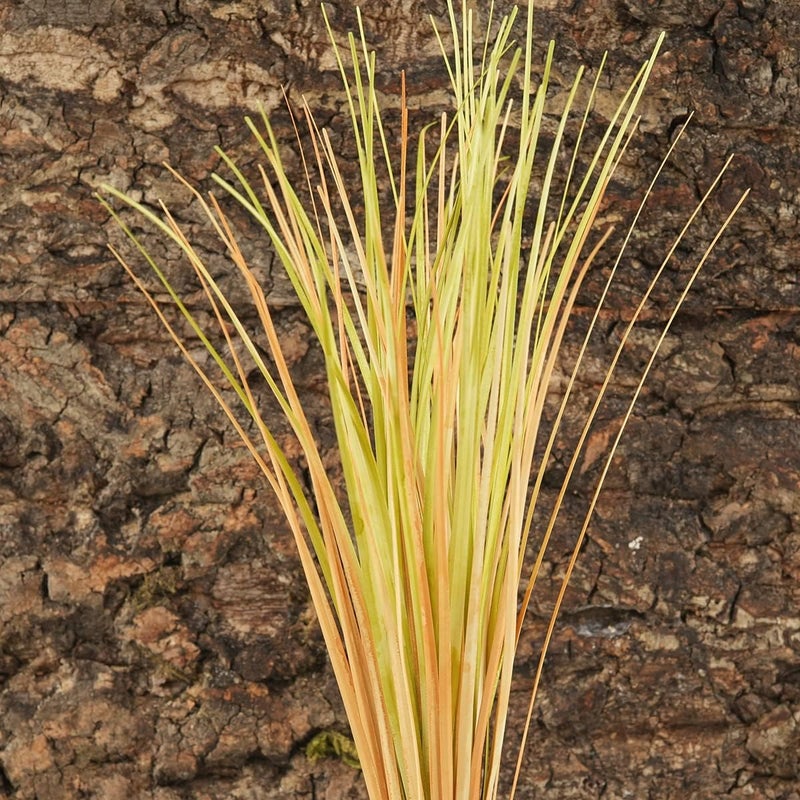WOLEDOE Fake Desert Dry Grass, Reptile Plants for Terrarium, Bearded Dragon Tank Accessories Habitat Decor fit Crested Gecko Leopard Lizard Chameleon Ball Python Snake - Image 3